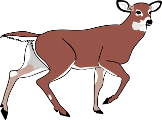 Deer Animal Mammal Stickdatei