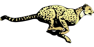 Cheetah Nature Running Stickdatei