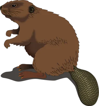 Beaver Animal Nature Stickdatei