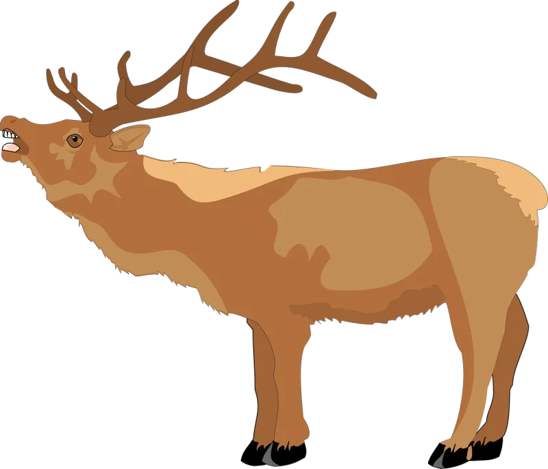 Deer Brown Open Stickdatei – Tiere