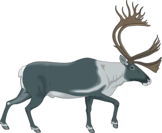 Reindeer Gray White Stickdatei