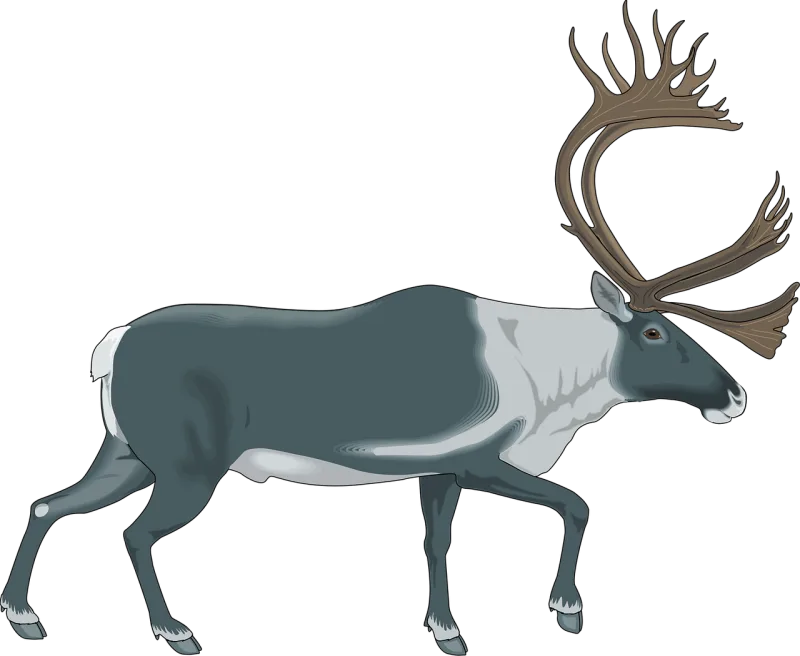 Reindeer Gray White Stickdatei – Weihnachten