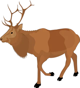 Moose Nature Brown Stickdatei – Tiere