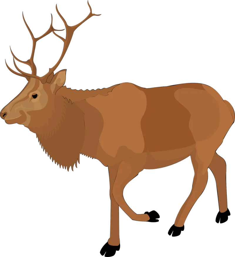 Moose Nature Brown Stickdatei – Tiere