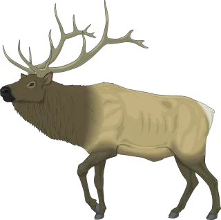 Elk Animal Wildlife Stickdatei