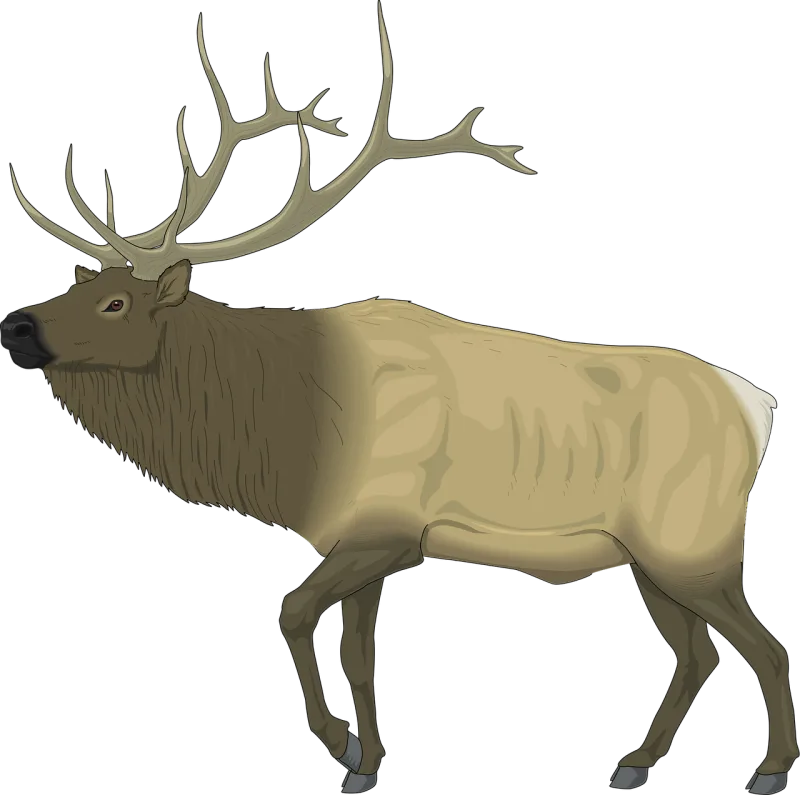 Elk Animal Wildlife Stickdatei – Tiere