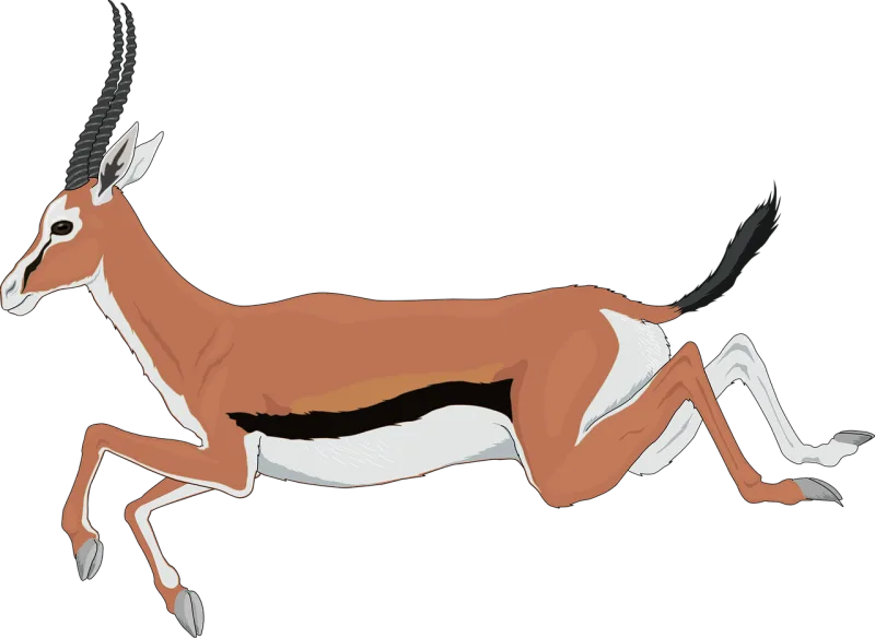 Antelope Nature Running Stickdatei – Sport