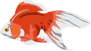 Goldfish White Orange Stickdatei