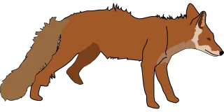 Fox White Nature Stickdatei – Tiere