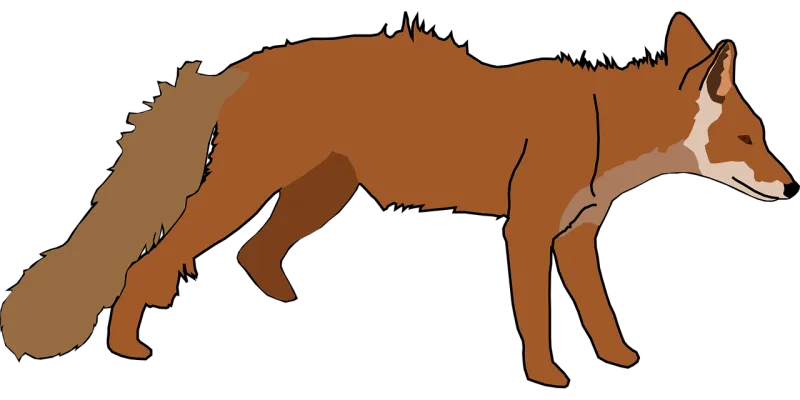 Fox White Nature Stickdatei – Tiere