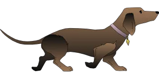 Black Dog Pet Stickdatei