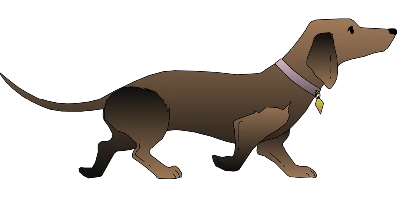 Black Dog Pet Stickdatei – Tiere
