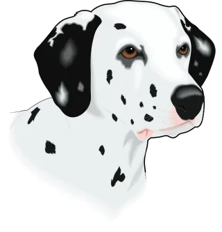 Head Dog Pet Stickdatei