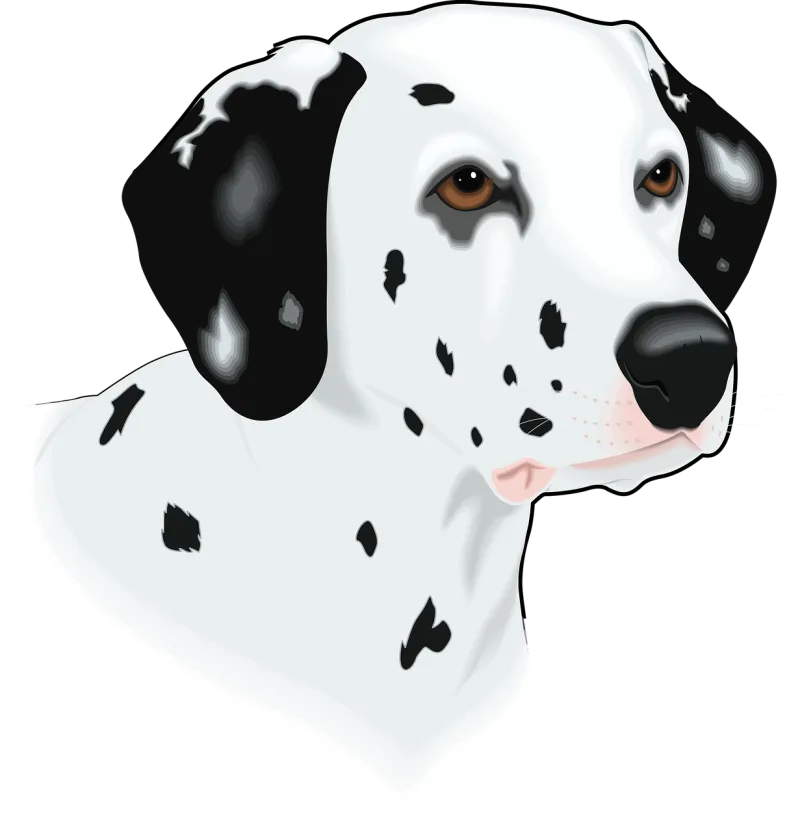 Head Dog Pet Stickdatei – Tiere