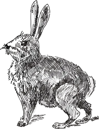 Rabbit Animal Tail Stickdatei
