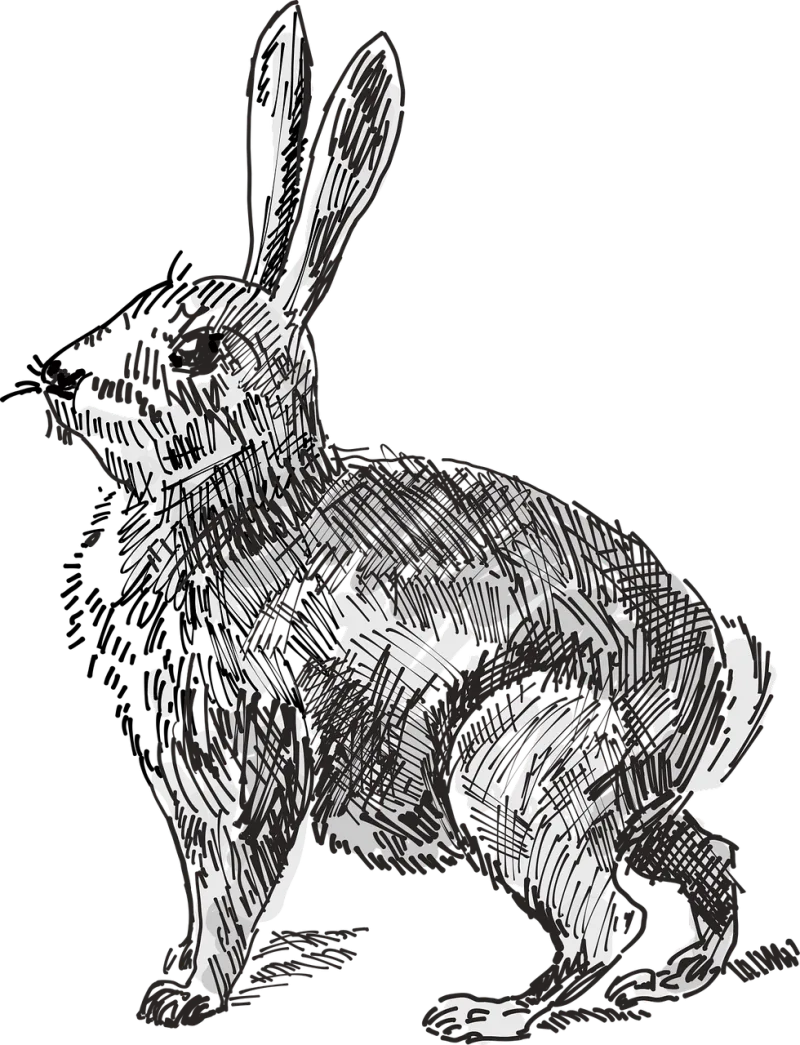 Rabbit Animal Tail Stickdatei – Tiere