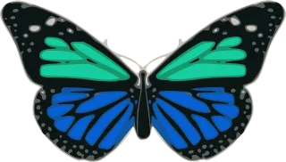 Butterfly Blue Turquoise Stickdatei