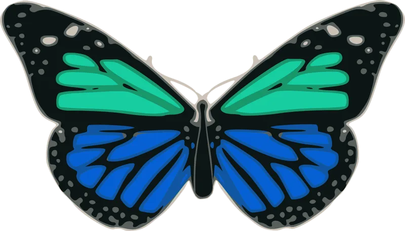 Butterfly Blue Turquoise Stickdatei – Tiere