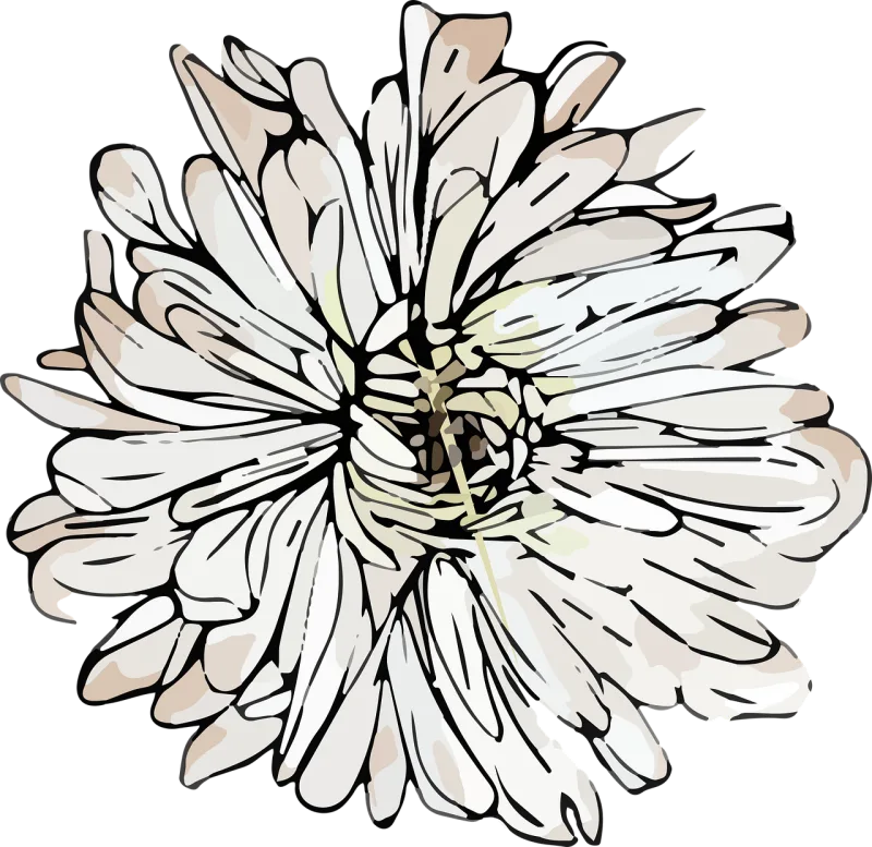 White Flower wallpaper Chrysanthemum Stickdatei – Blumen