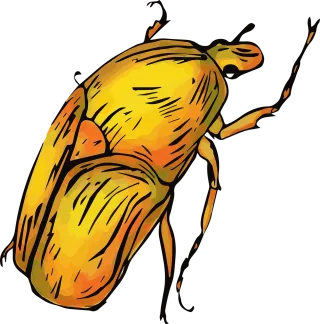 Yellow Beetle Nature Stickdatei