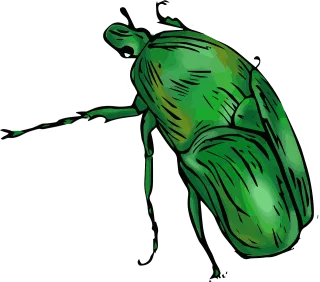 Green Beetle Jungle Stickdatei