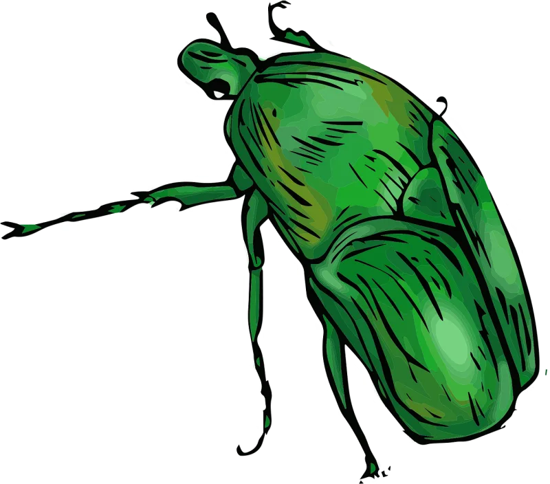 Green Beetle Jungle Stickdatei – Tiere