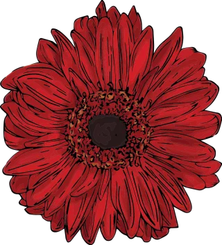 Red Flower Gerbera Stickdatei