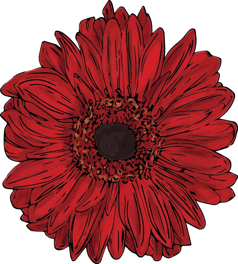 Red Flower Gerbera Stickdatei – Herzen & Liebe