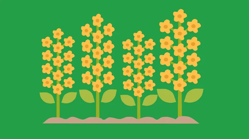 Flower Flower wallpaper Plant Stickdatei – Blumen