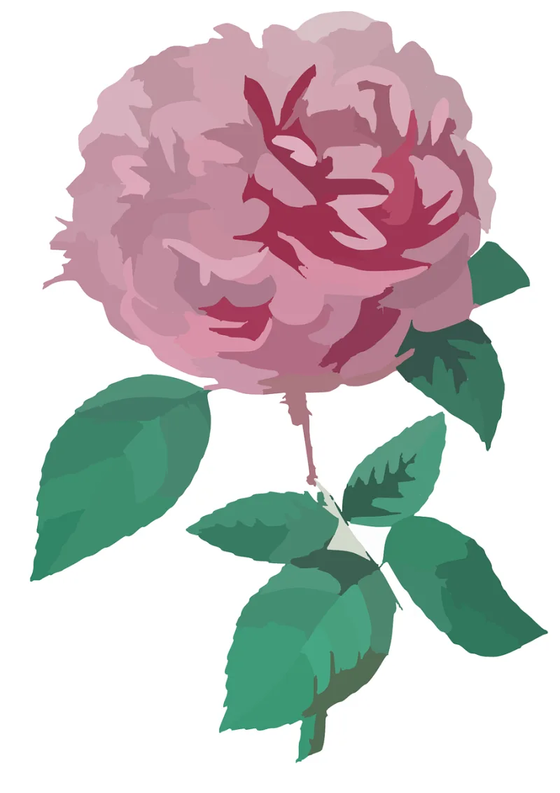 Rose Flower Pink Stickdatei – Blumen