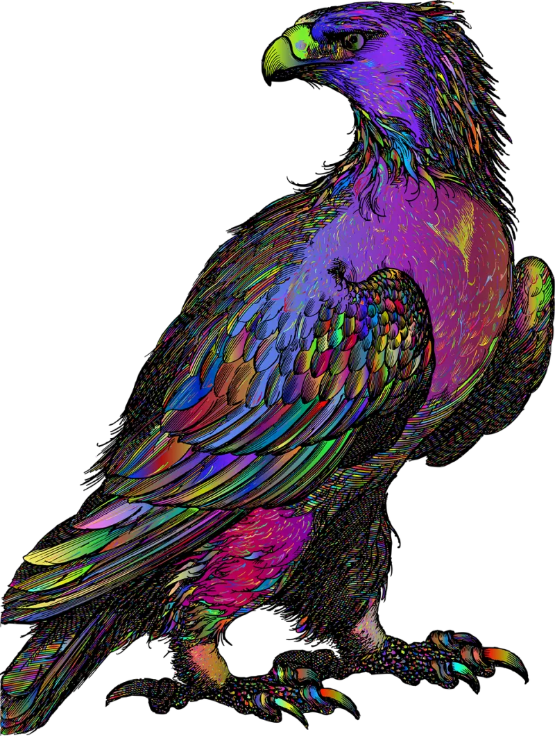 Eagle Bird Line art Stickdatei – Natur