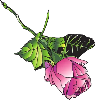 Landscape rose Rose Beautiful flowers Stickdatei