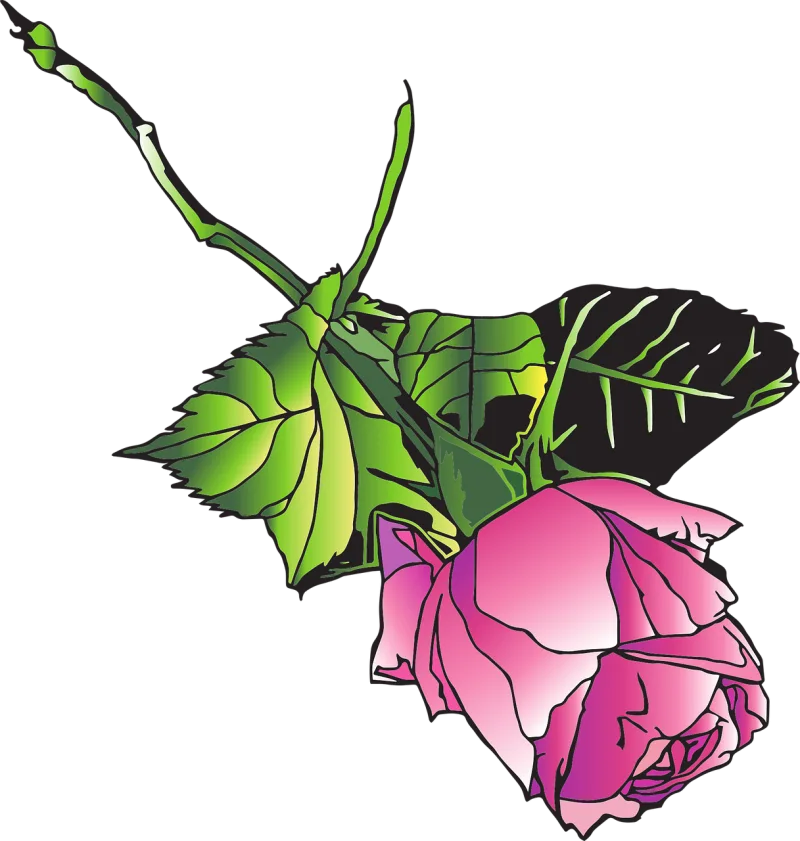 Landscape rose Rose Beautiful flowers Stickdatei – Blumen