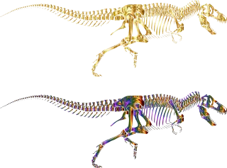 Tyrannosaurus rex Dinosaur Silhouette Stickdatei – Kinder