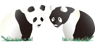 Panda Black White Stickdatei