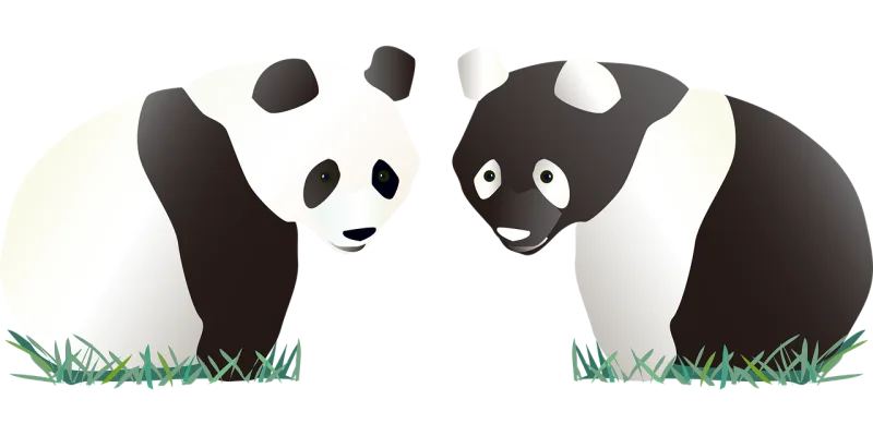 Panda Black White Stickdatei – Tiere