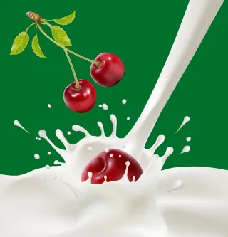 Berries Cherry Fruit Stickdatei