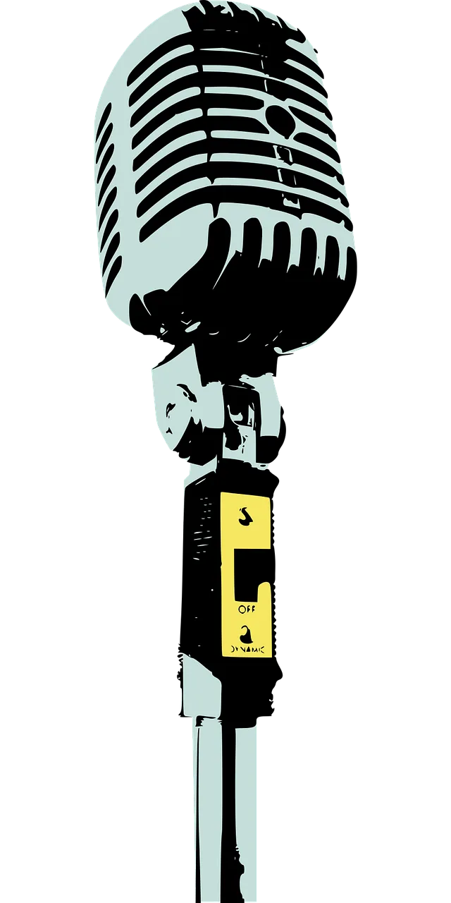 Microphone Vintage Classic Stickdatei – Musik