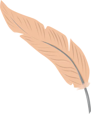 Feather Bird Animals Stickdatei