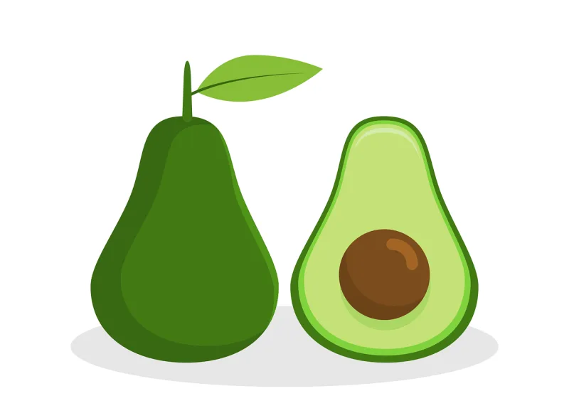 Food Avocado Flat Stickdatei – Essen & Trinken