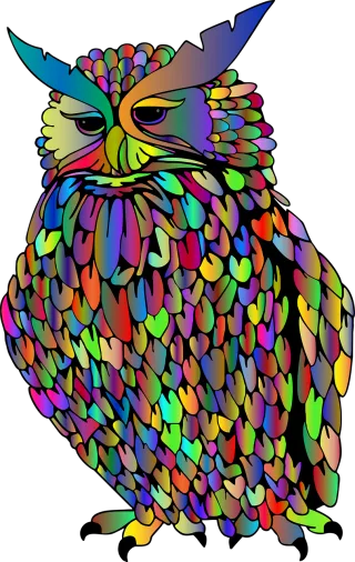 Owl Nature Feathers Stickdatei