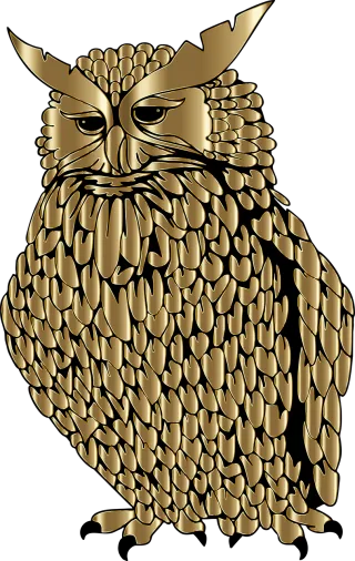 Owl Feathers Bird Stickdatei