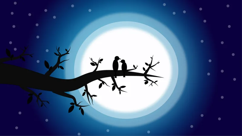 Romantic Night Birds Stickdatei – Herzen & Liebe