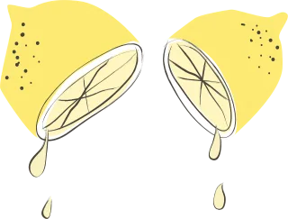 Lemons Citrus Juicy Stickdatei