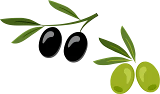 Olive Green Olives Stickdatei
