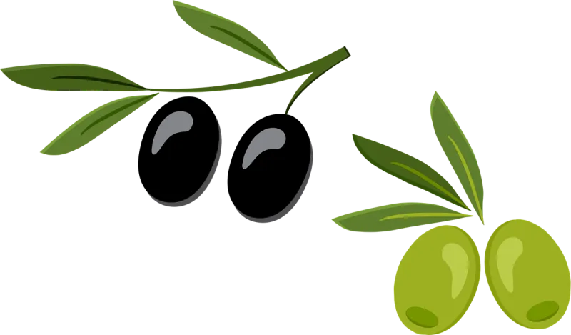 Olive Green Olives Stickdatei – Essen & Trinken