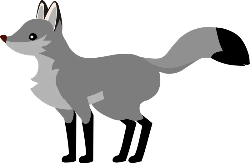 Gray fox Fox Nature Stickdatei – Tiere