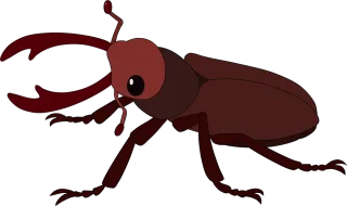 Beetle Insect Nature Stickdatei