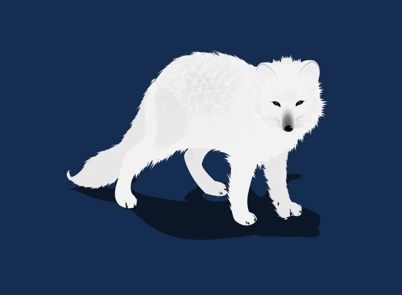 Arctic Fox White Stickdatei – Tiere