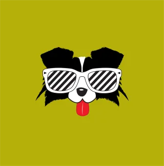 Border collie Pet Dogs Stickdatei